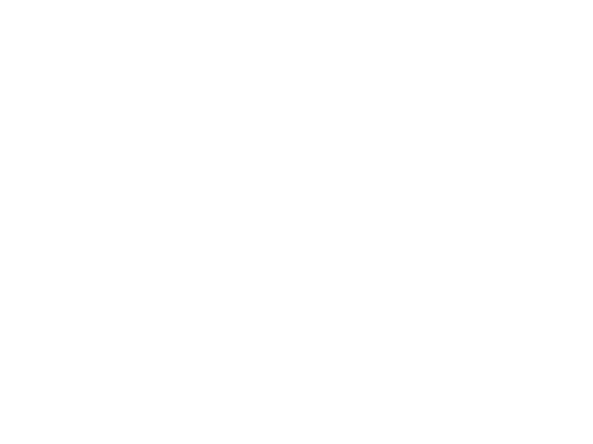 Ariz world map